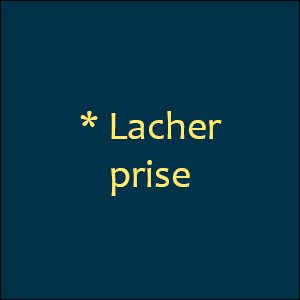 300x300-AUDIO-lacher-prise